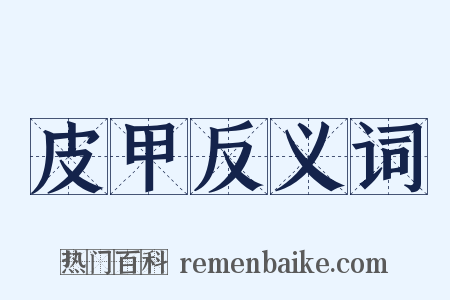 皮甲反义词是什么意思的图片